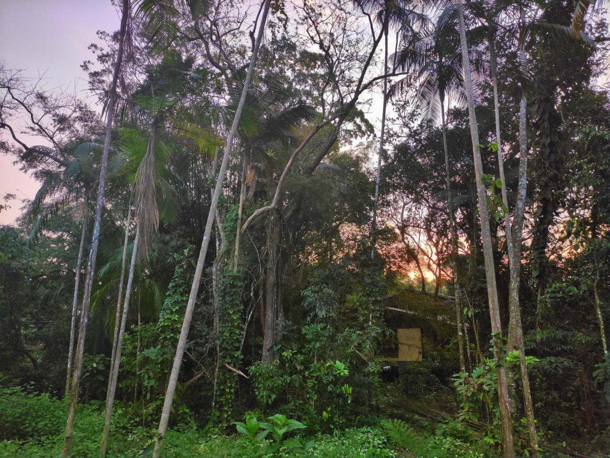 Casa Jamboo São Sebastião Exterior foto